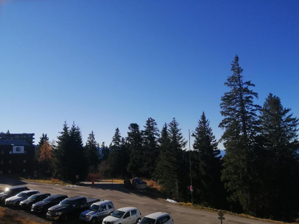 Le Flocon-Studio Cabine-Balcon 4-6 Pers A 100M Des Pistes 샴루스 외부 사진