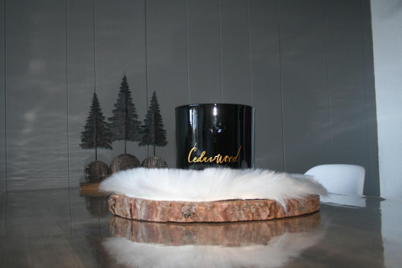 Le Flocon-Studio Cabine-Balcon 4-6 Pers A 100M Des Pistes 샴루스 외부 사진