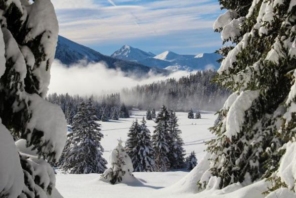 Le Flocon-Studio Cabine-Balcon 4-6 Pers A 100M Des Pistes 샴루스 외부 사진
