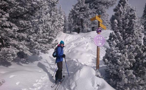 Le Flocon-Studio Cabine-Balcon 4-6 Pers A 100M Des Pistes 샴루스 외부 사진