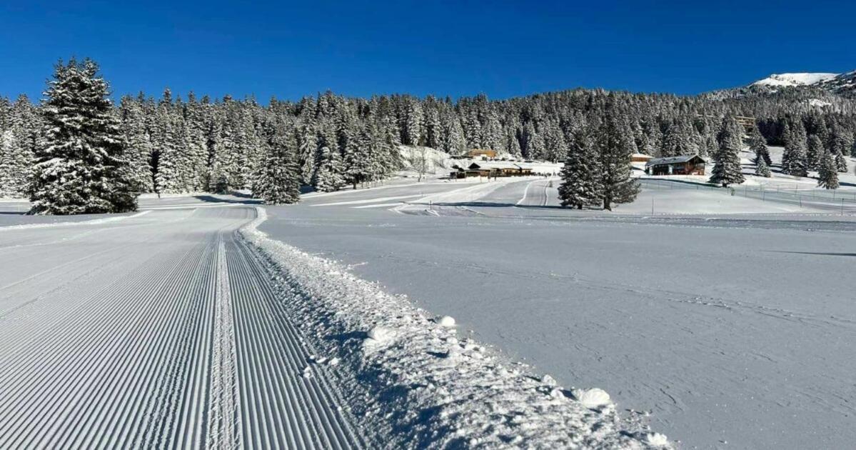 Le Flocon-Studio Cabine-Balcon 4-6 Pers A 100M Des Pistes 샴루스 외부 사진