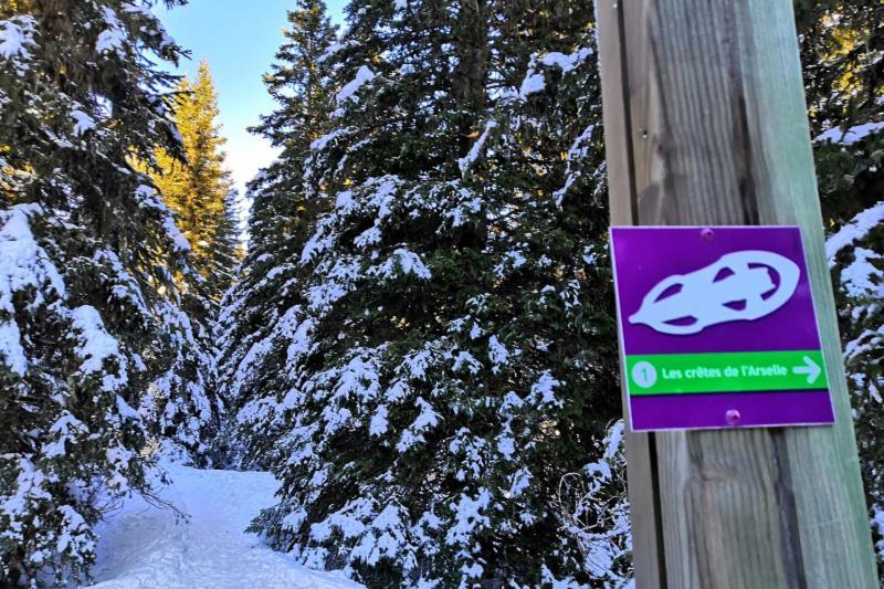 Le Flocon-Studio Cabine-Balcon 4-6 Pers A 100M Des Pistes 샴루스 외부 사진